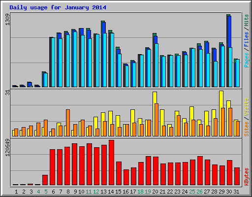 Daily usage for January 2014