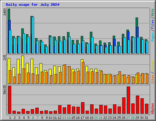 Daily usage for July 2024