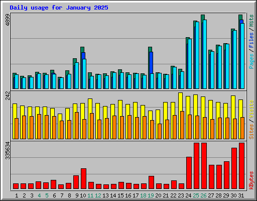Daily usage for January 2025