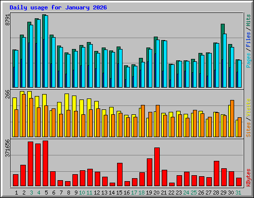 Daily usage for January 2026