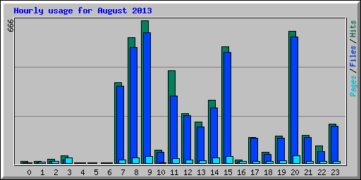 Hourly usage for August 2013