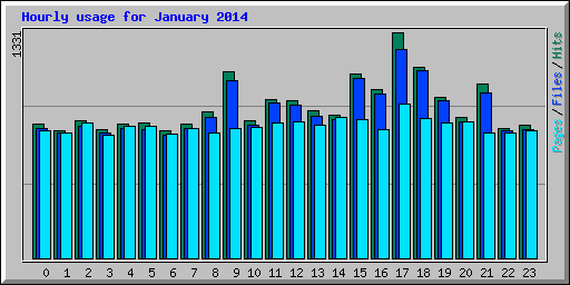 Hourly usage for January 2014