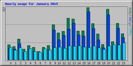Hourly usage for January 2015