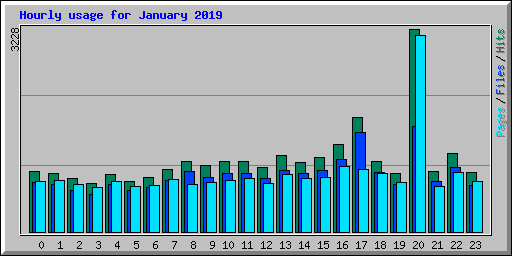 Hourly usage for January 2019
