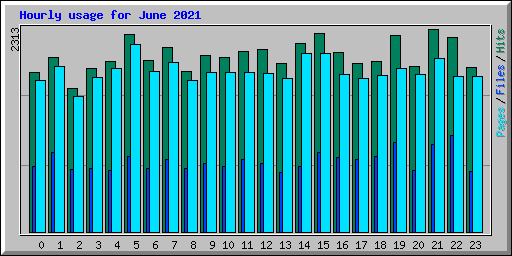 Hourly usage for June 2021