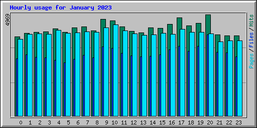 Hourly usage for January 2023