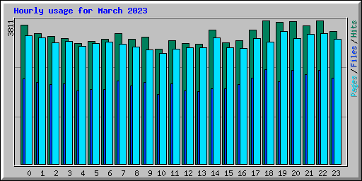 Hourly usage for March 2023