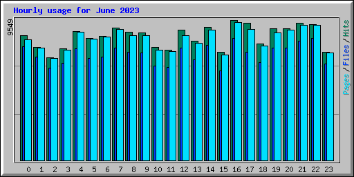 Hourly usage for June 2023