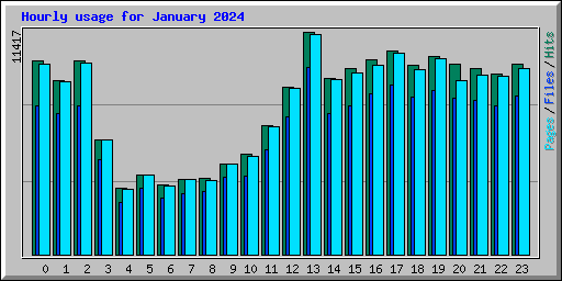 Hourly usage for January 2024