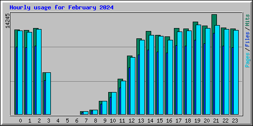 Hourly usage for February 2024
