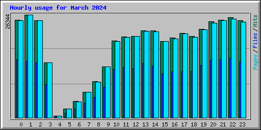 Hourly usage for March 2024