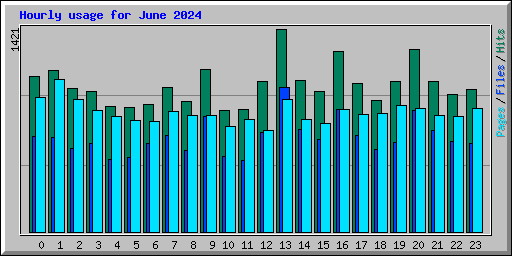 Hourly usage for June 2024