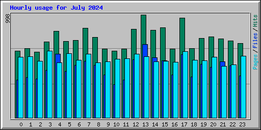 Hourly usage for July 2024