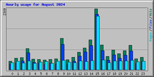 Hourly usage for August 2024