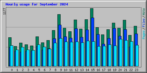 Hourly usage for September 2024