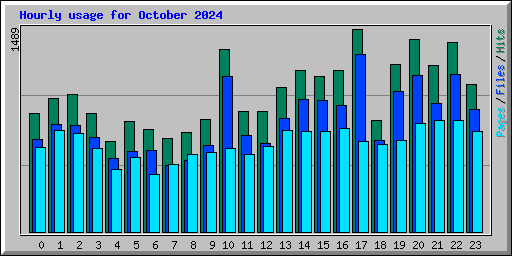 Hourly usage for October 2024