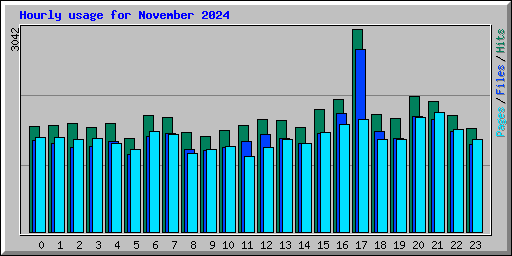 Hourly usage for November 2024