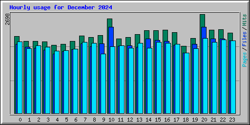 Hourly usage for December 2024