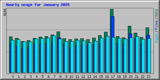 Hourly usage for January 2025