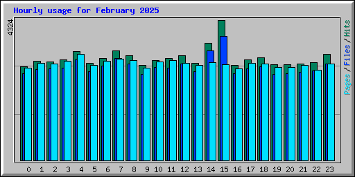 Hourly usage for February 2025