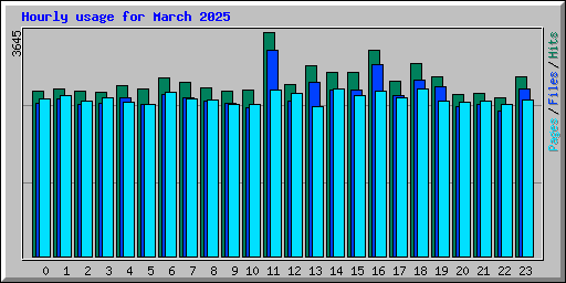 Hourly usage for March 2025