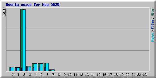 Hourly usage for May 2025