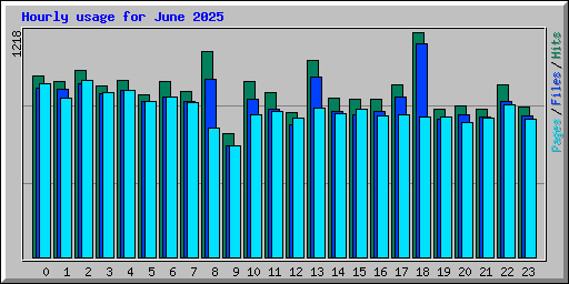 Hourly usage for June 2025