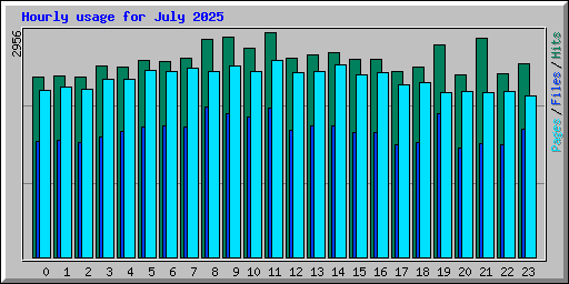 Hourly usage for July 2025