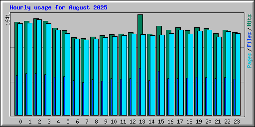 Hourly usage for August 2025