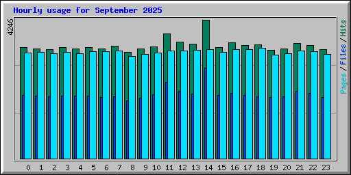 Hourly usage for September 2025