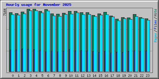 Hourly usage for November 2025