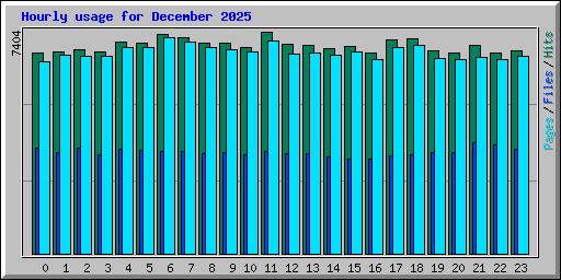 Hourly usage for December 2025