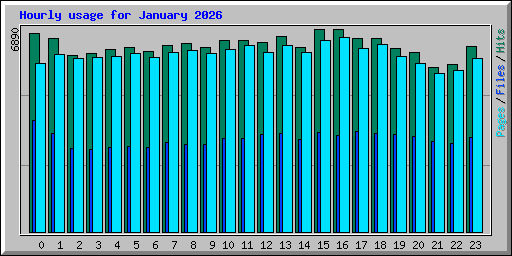 Hourly usage for January 2026