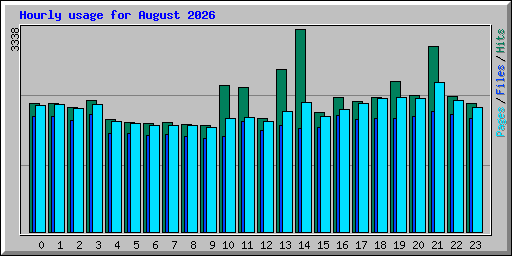 Hourly usage for August 2026